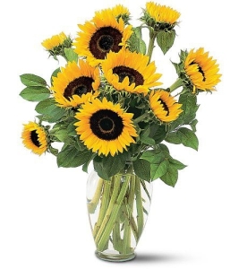 sunflowersa1